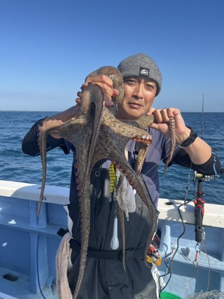 マダコ