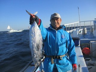 ホンガツオ