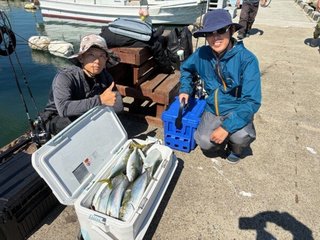 サワラ