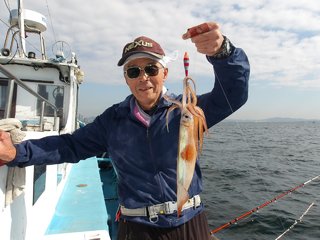 スルメイカ