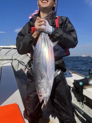 カツオ