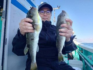 ショウサイフグ