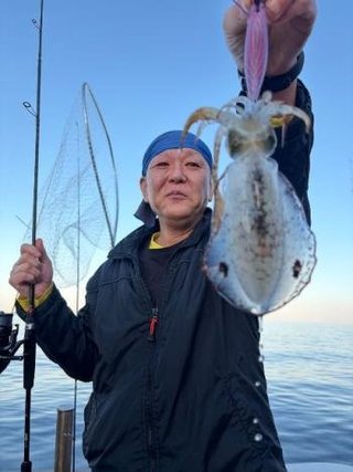 アオリイカ