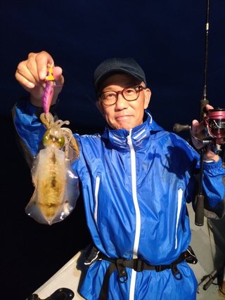 アオリイカ