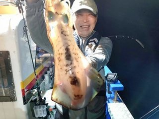 アオリイカ