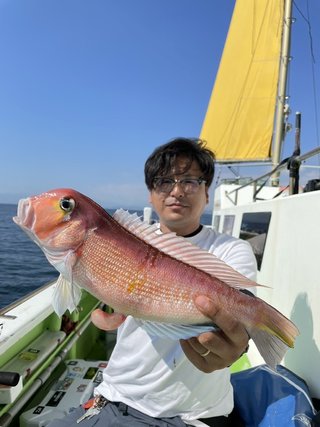 アマダイ