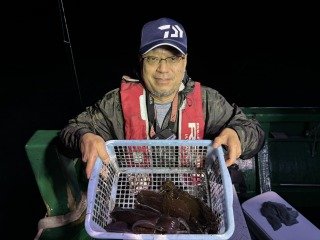 アオリイカ