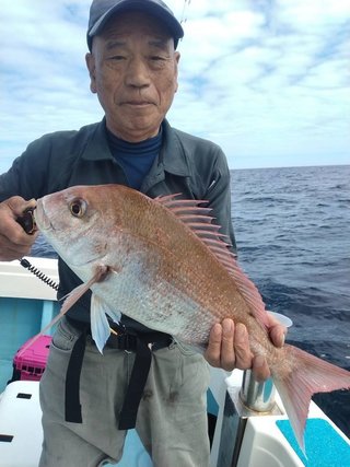 マダイ