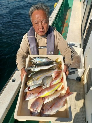 マダイ