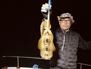 アオリイカ