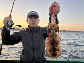アオリ