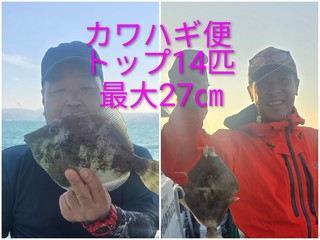 カワハギ