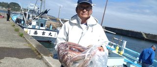 スルメイカ