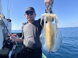 アオリイカ