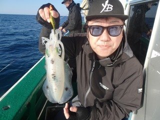 アオリイカ