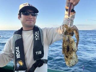 アオリイカ