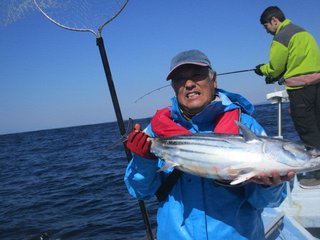 ホンガツオ