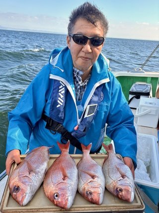 マダイ