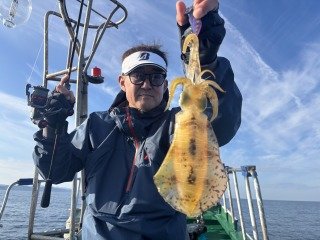 アオリイカ