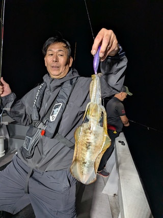 アオリイカ