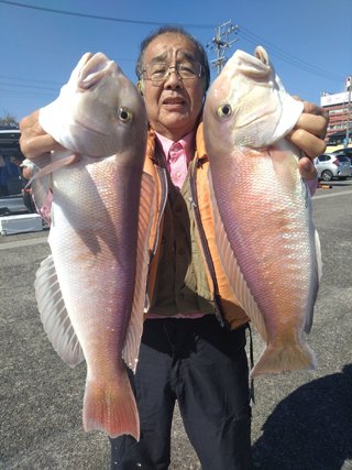 シロアマダイ