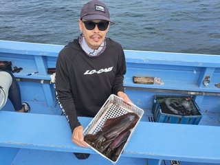 アオリイカ