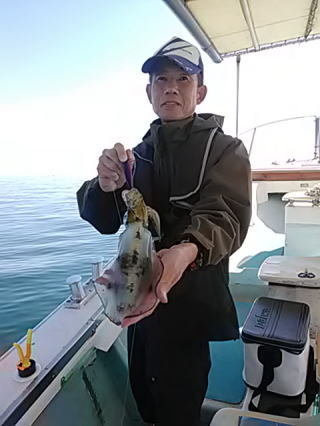 アオリイカ