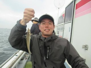 シロギス