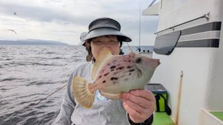 カワハギ