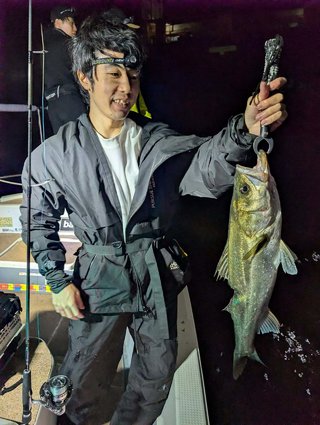 シーバス