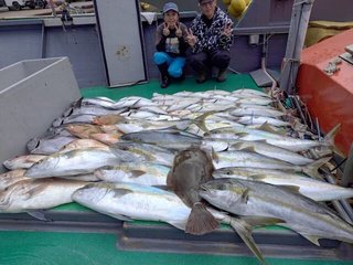 ブリ