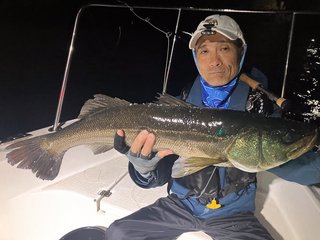 アジ