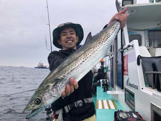 サワラ