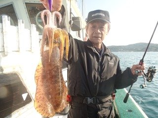 アオリイカ