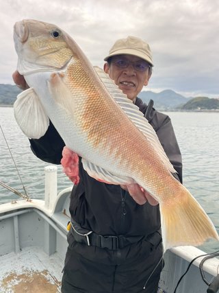 シロアマダイ