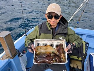 アオリイカ