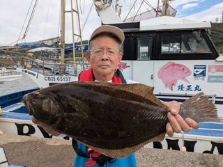 ヒラメ