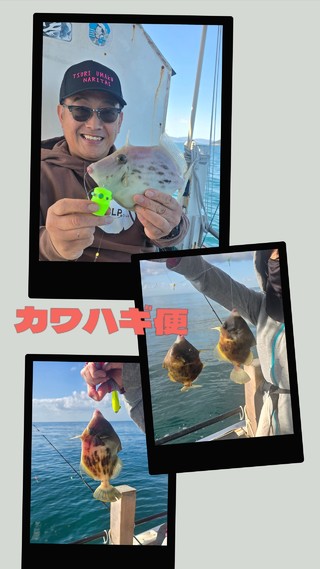 カワハギ