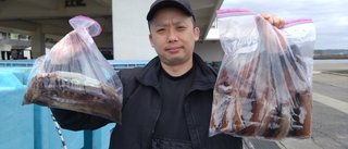 スルメイカ