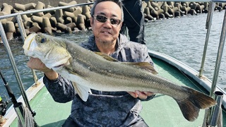 シーバス