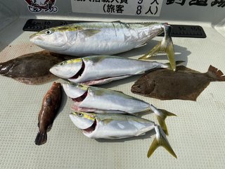 ヒラメ
