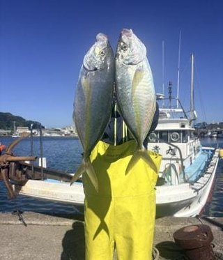 シマアジ