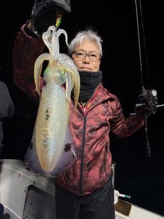 アオリイカ
