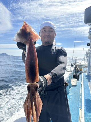 スルメイカ