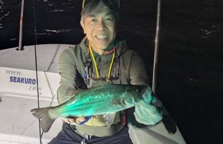 シーバス