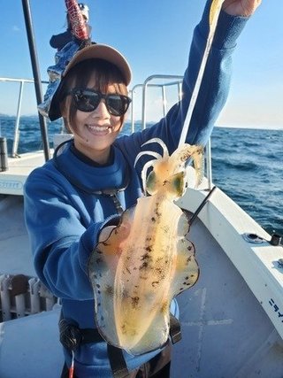 アオリイカ