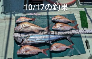 サワラ