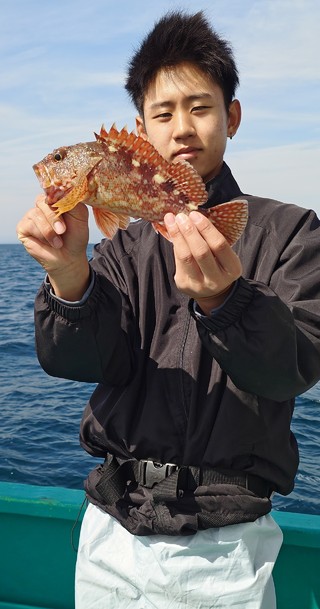 カサゴ