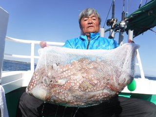 マダコ