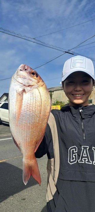 マダイ